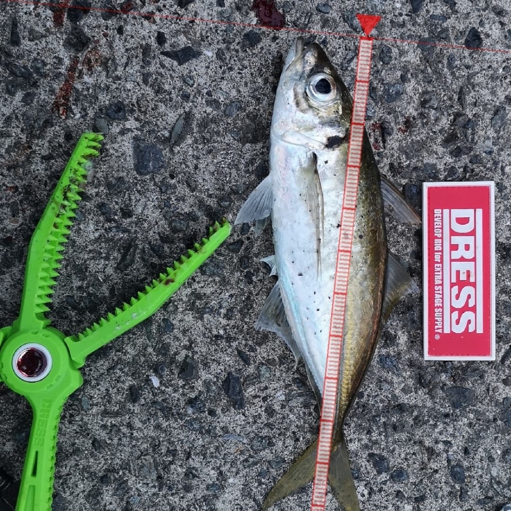 9258_0_064a617ed24c2453623983c1541001e9