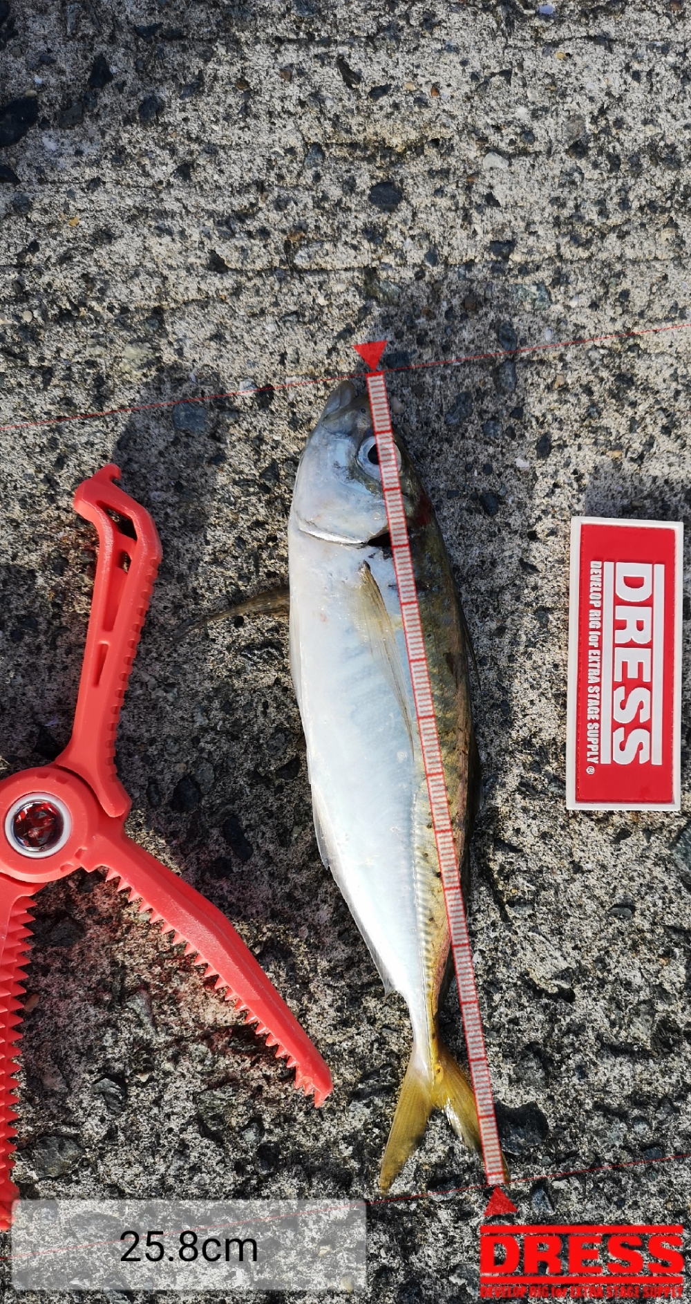 9258_0_0a9357cb32bfcbf0d2a58802fa921373