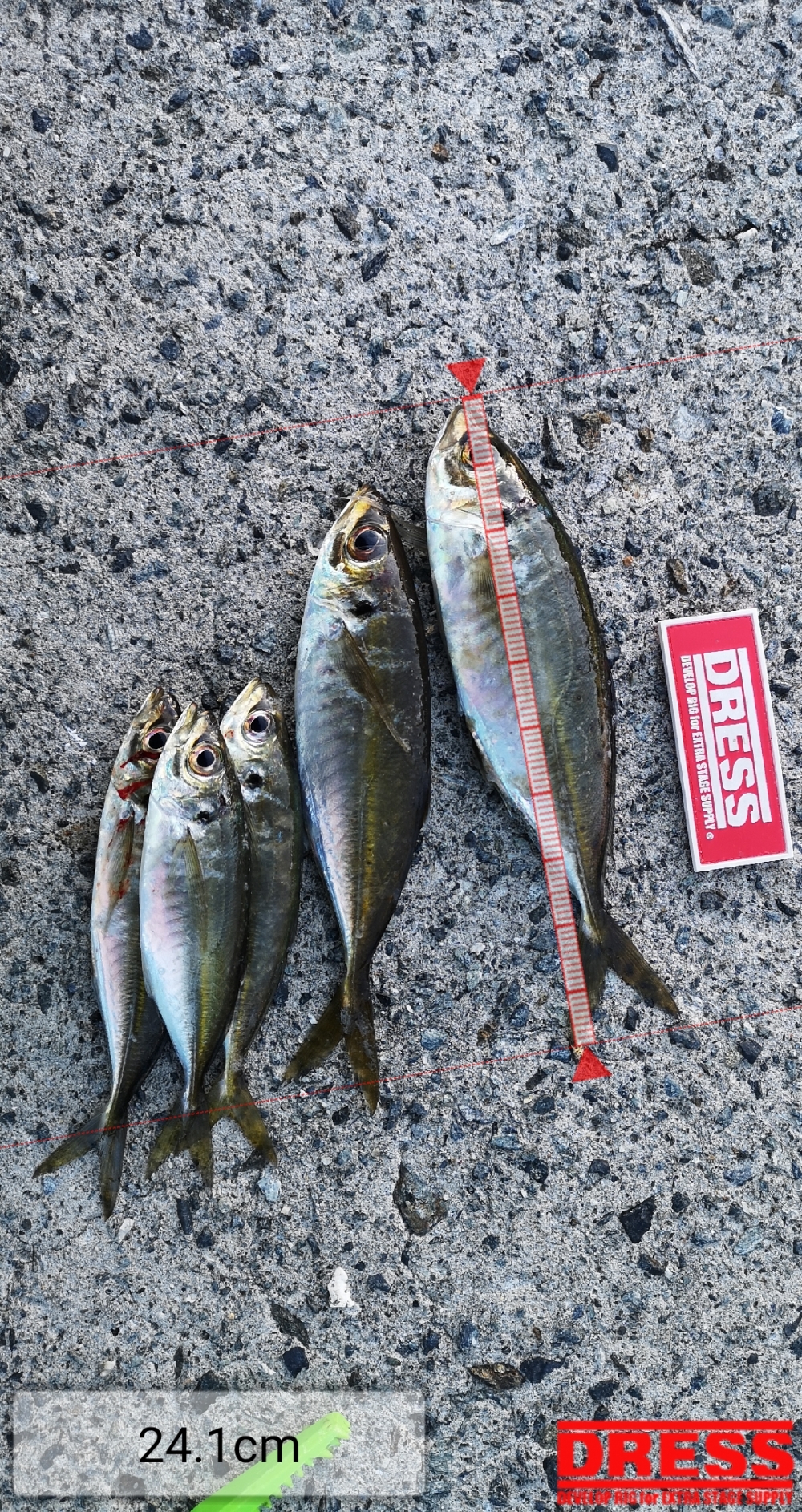 9258_0_0e2cfabe0fe1a8807e1b38fdfab658ac