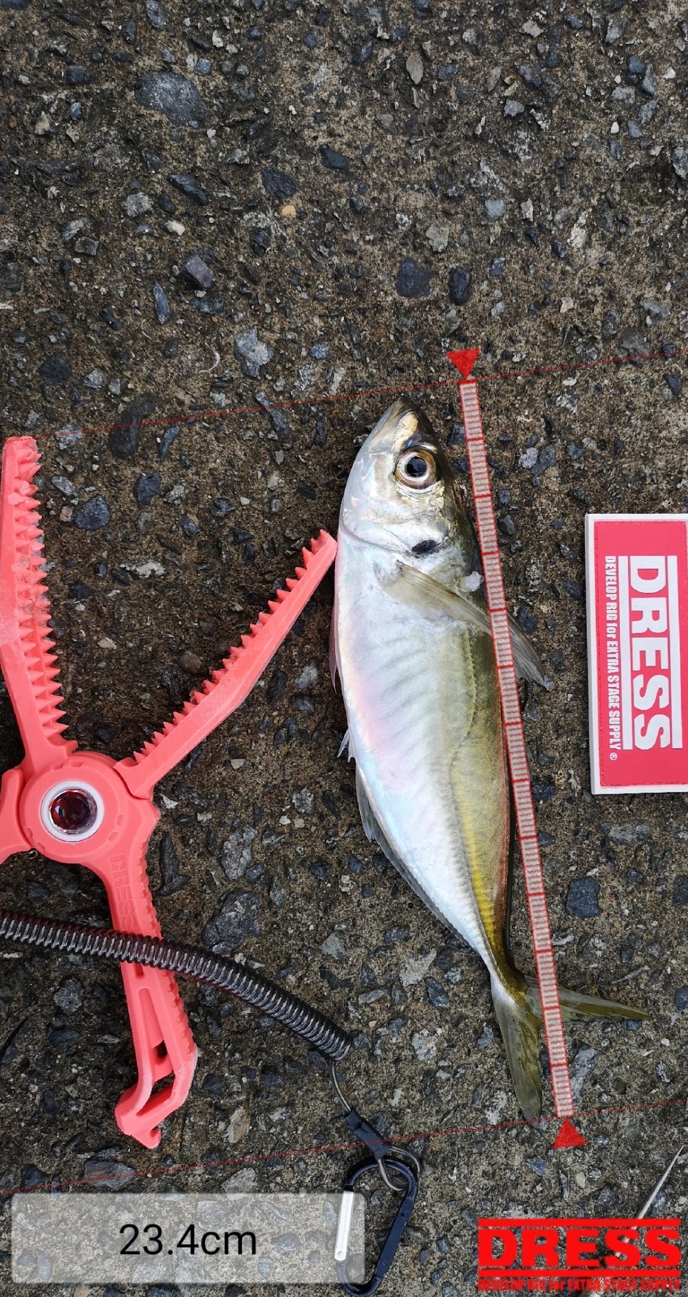 9258_0_11dd6d0b203253e840d12dd2bd1c49bf