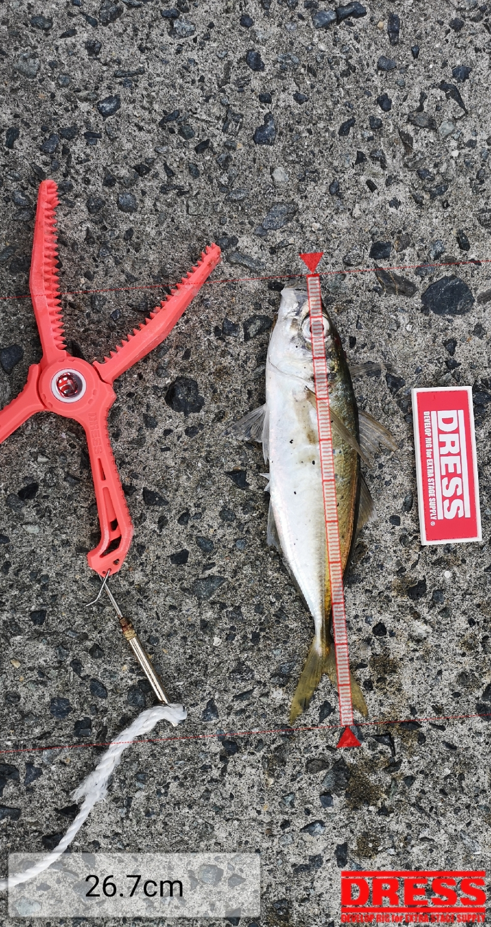 9258_0_184eabdf4c3ff2a1f454df5819f882bc