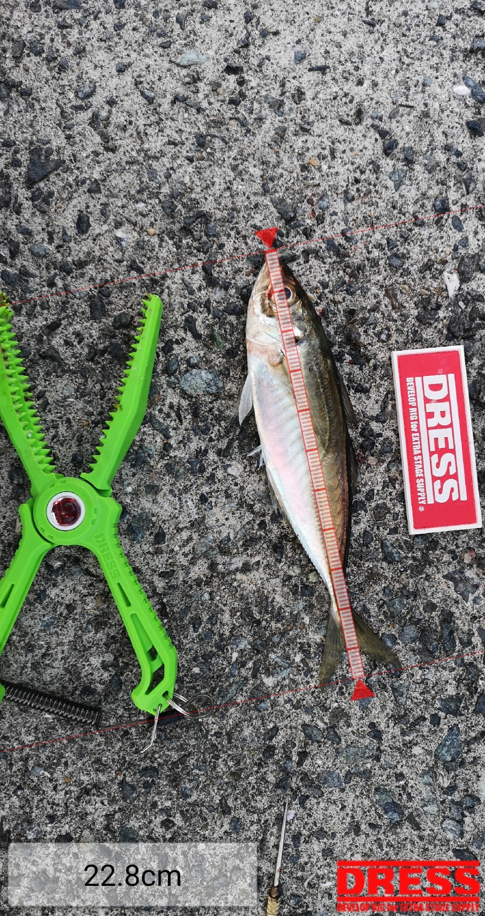 9258_0_1b76a9d100dd38130b01550ad531ad39