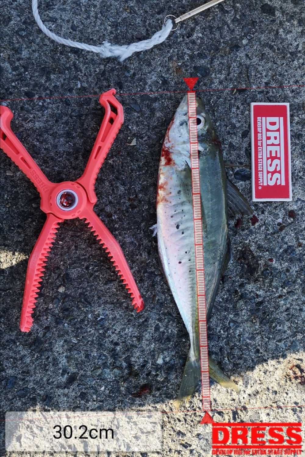 9258_0_1dc0fc00f664ffe3ec096177d954b885