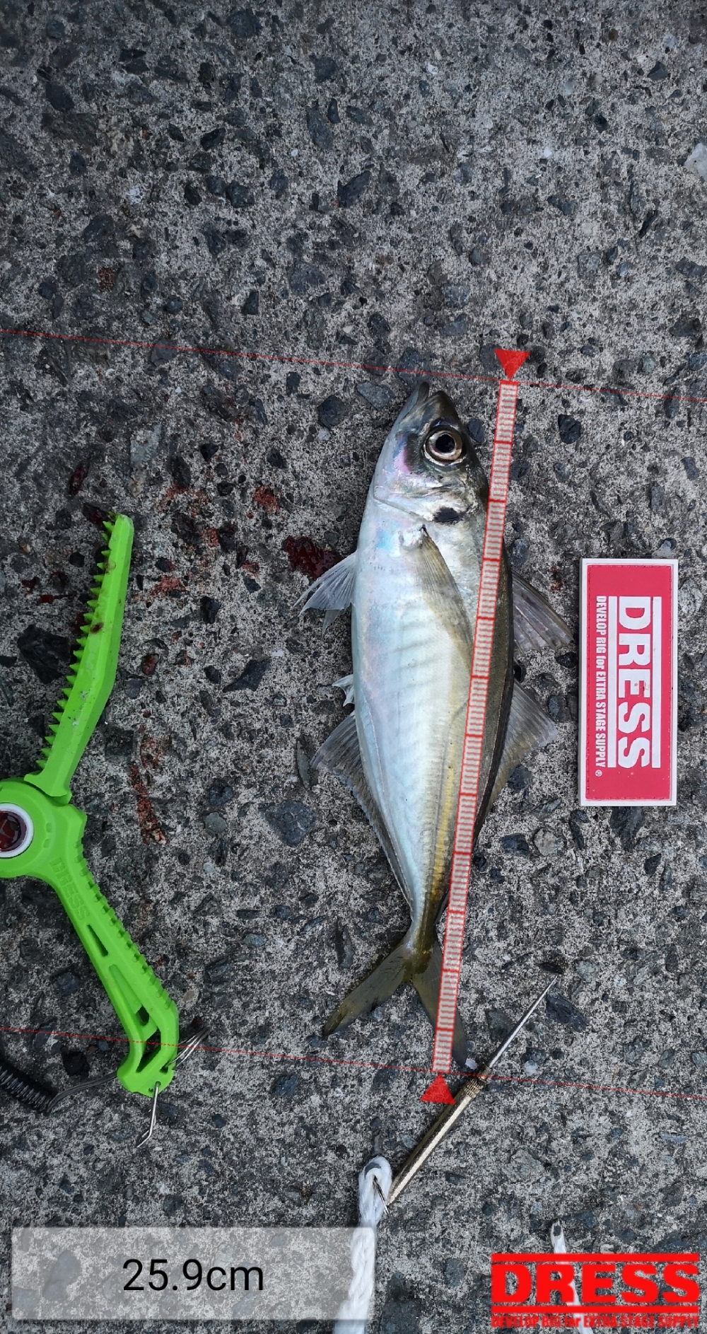 9258_0_1e8799037bb71f7475e383c7045ce5fe