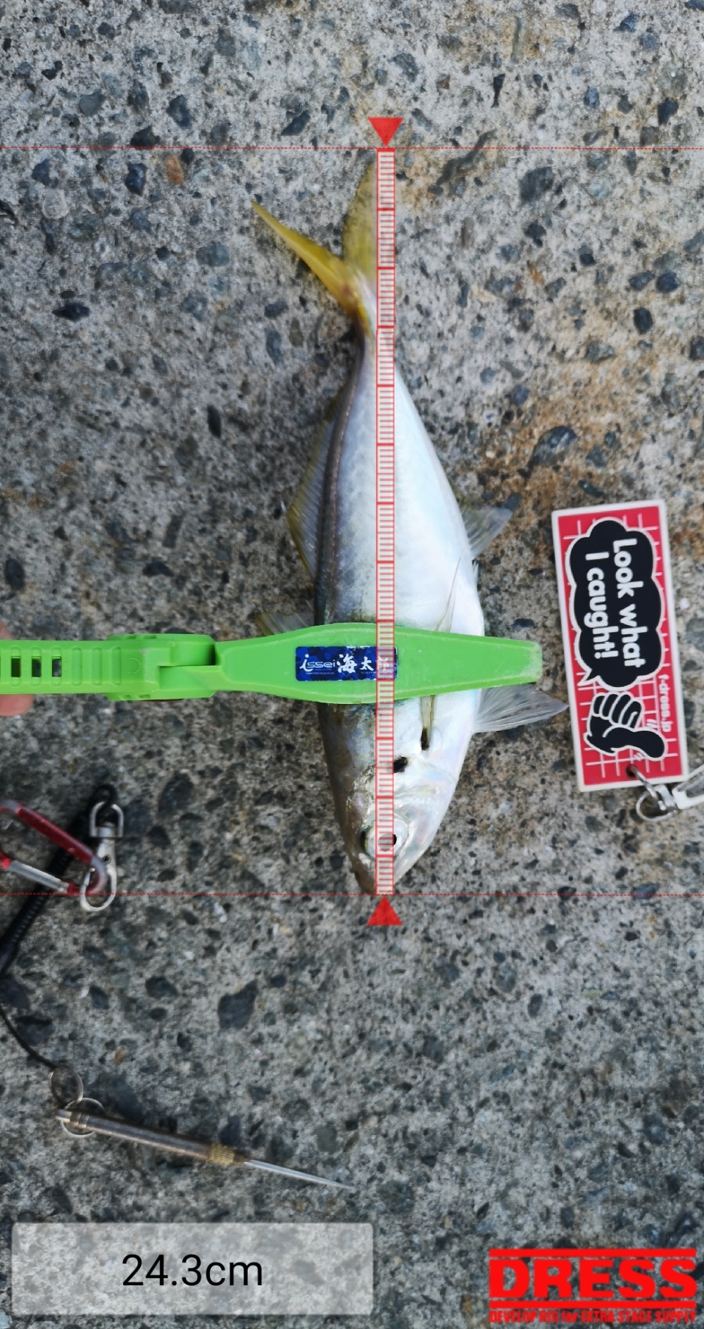 9258_0_20073afdea37620bf7d5ff58212335cf