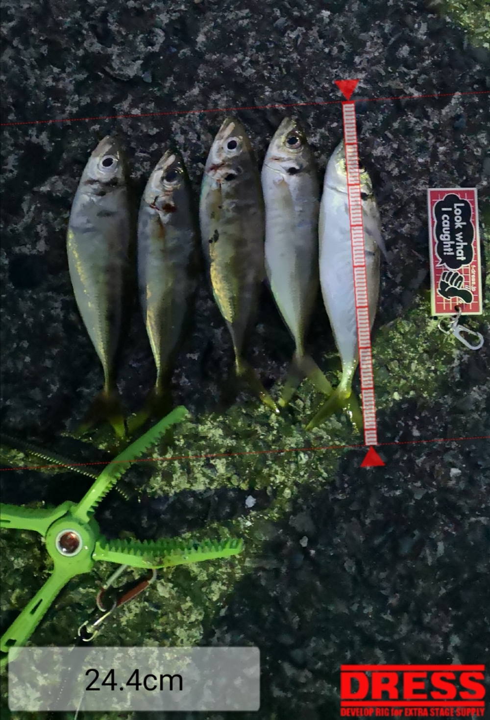 9258_0_27079ec5d49f553d3c1efd4b1a3cee13