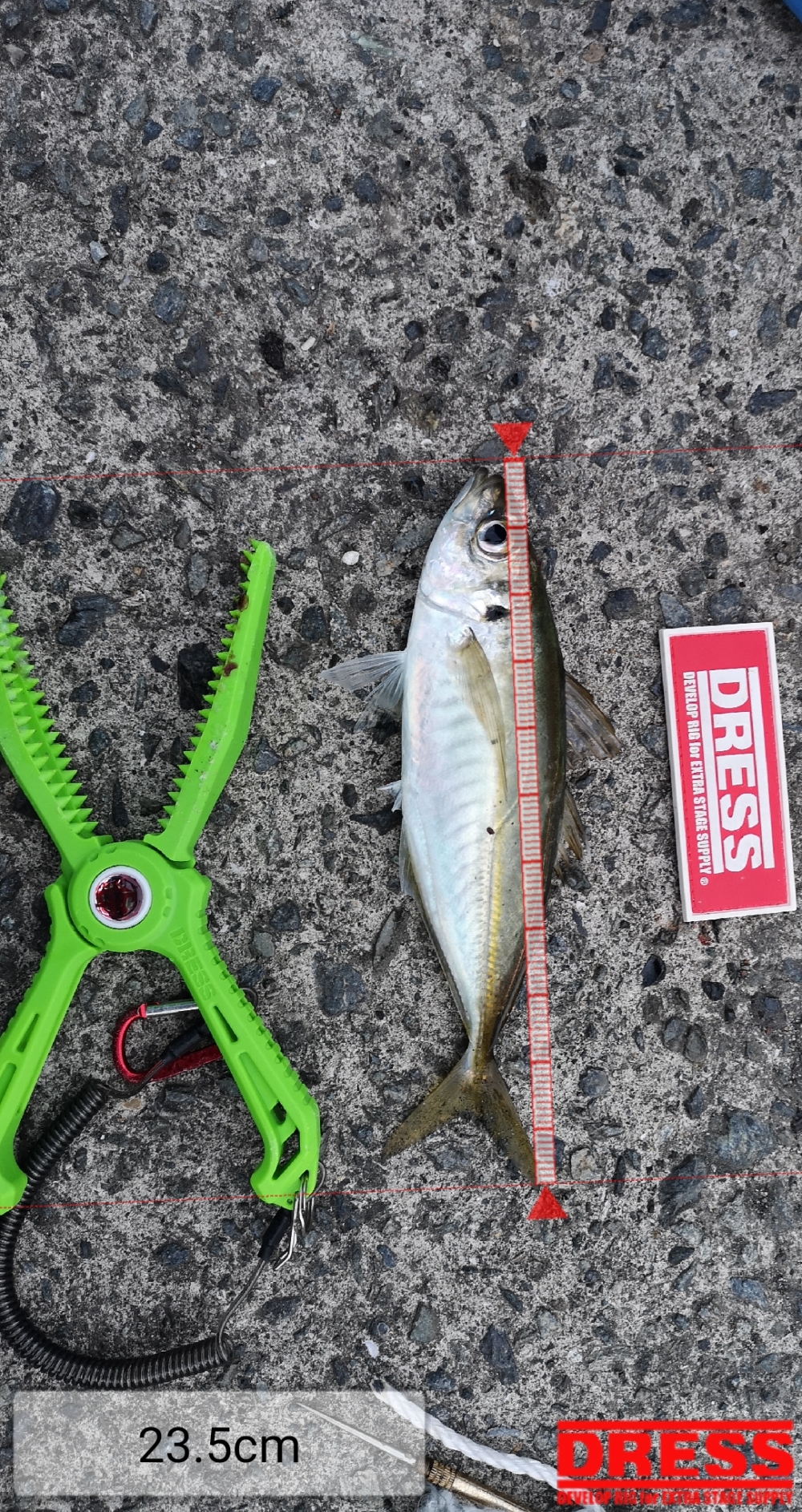 9258_0_2d54daa48bc02feacede7e8bd9ae3e10