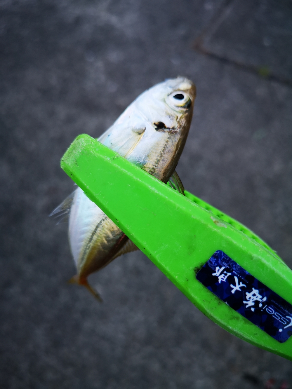 9258_0_35d5bd9e7c523357d3c5238cbad78cab