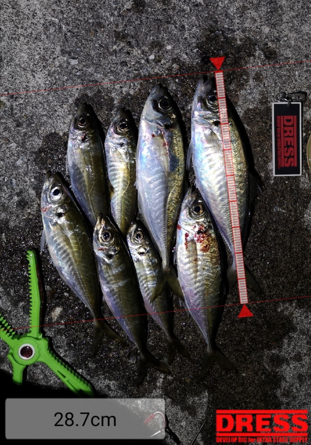 9258_0_3860f1e78ae5463d2a3864890c379307