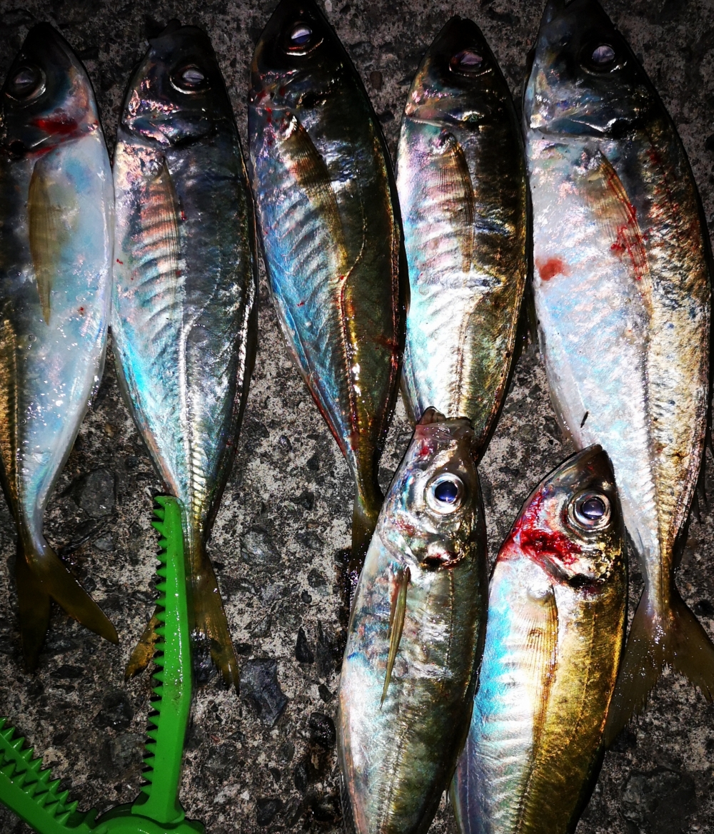 9258_0_39e9ea1d6e8cb91aed5f1cb4918ec258