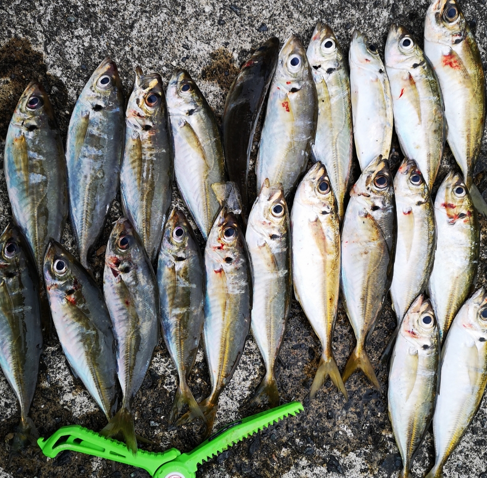 9258_0_413648c4621ebf0f2cccad89cc4bca06