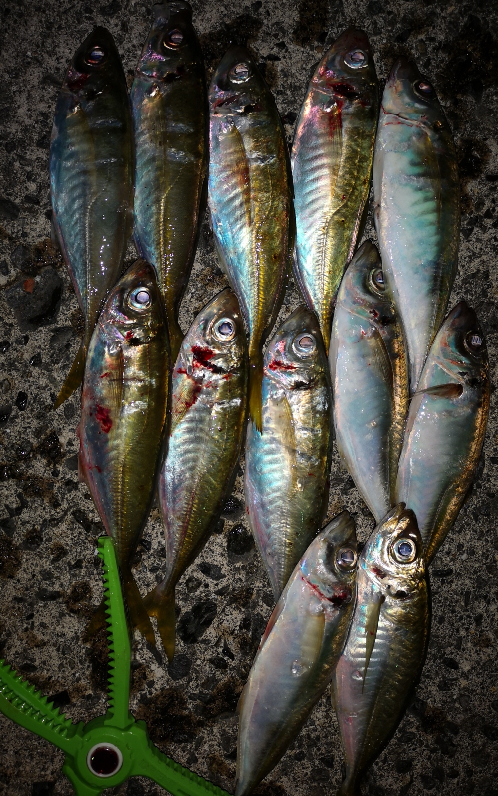 9258_0_474b2f488032d63e75e7c3389a4151b3