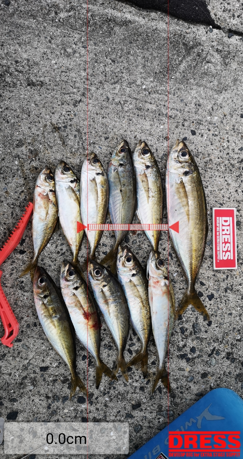 9258_0_5ae71d0a16c04e863ffeaaf8151504b6