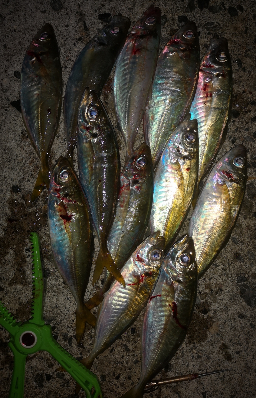 9258_0_5d4370200ca6a64a60c287d43aa8178d