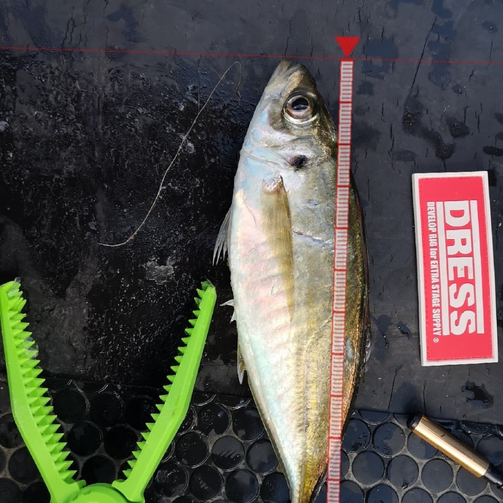 9258_0_5db6c728e53f277c43d4196f17c333c6