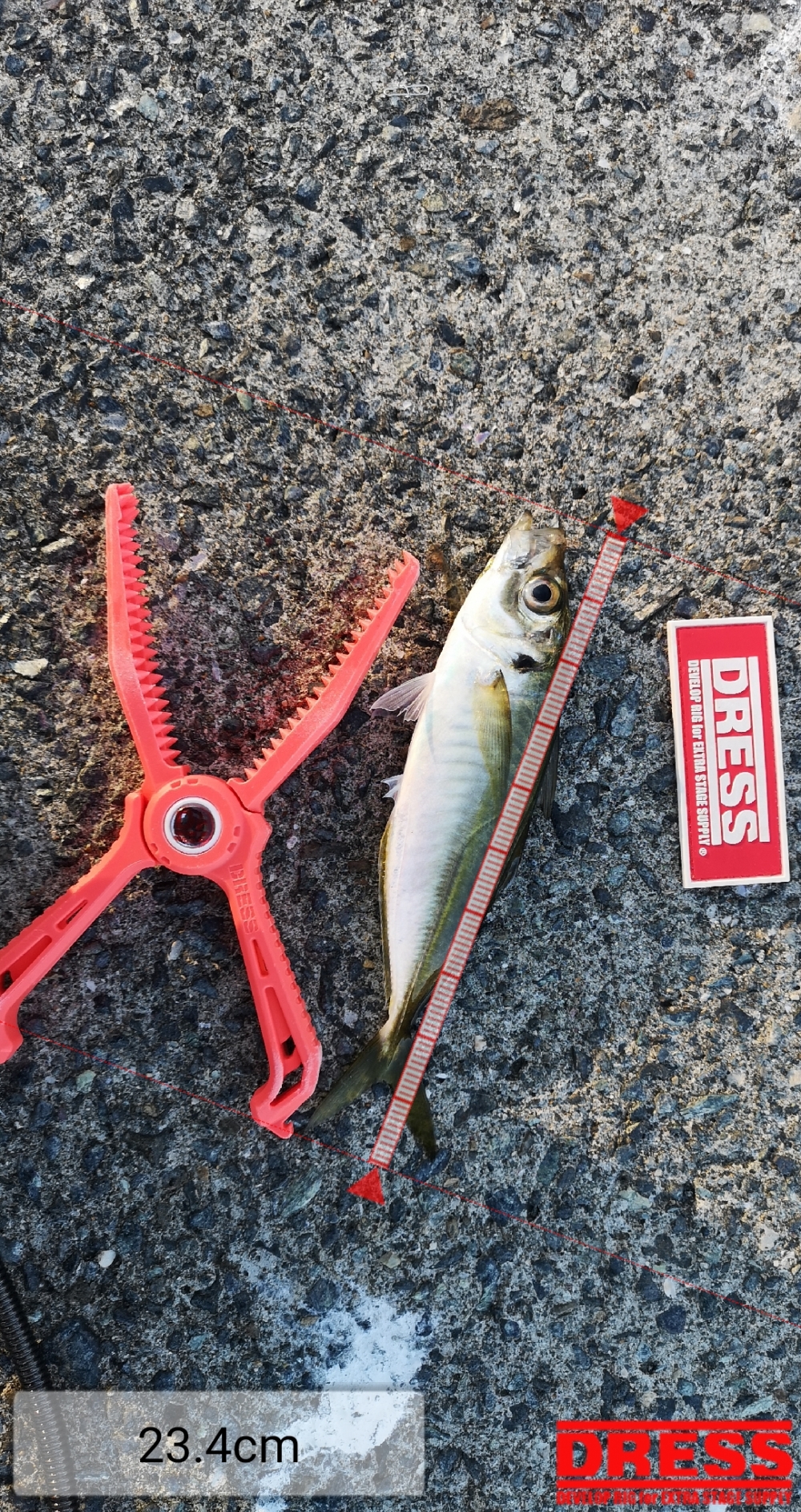 9258_0_663c255e866a630197e90265e0ece499