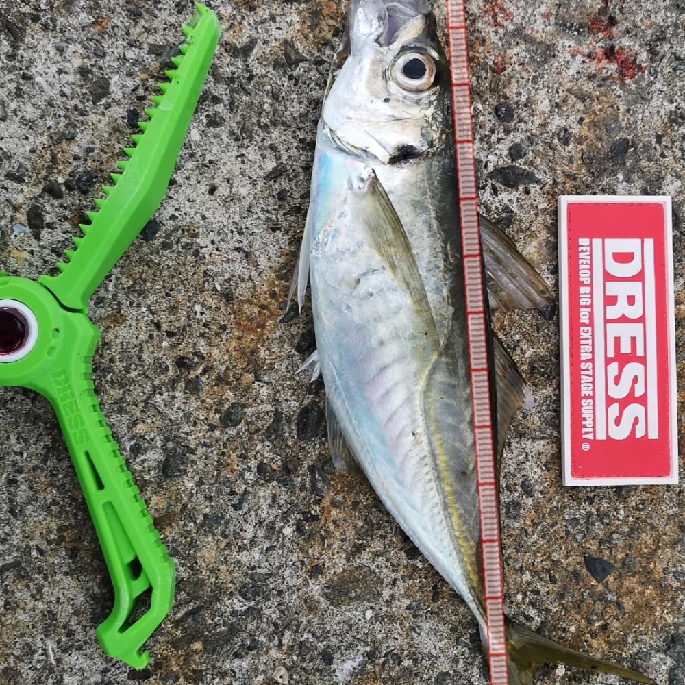 9258_0_6d9cb79a9bc2ff87a0f3fb5fa7d824b8