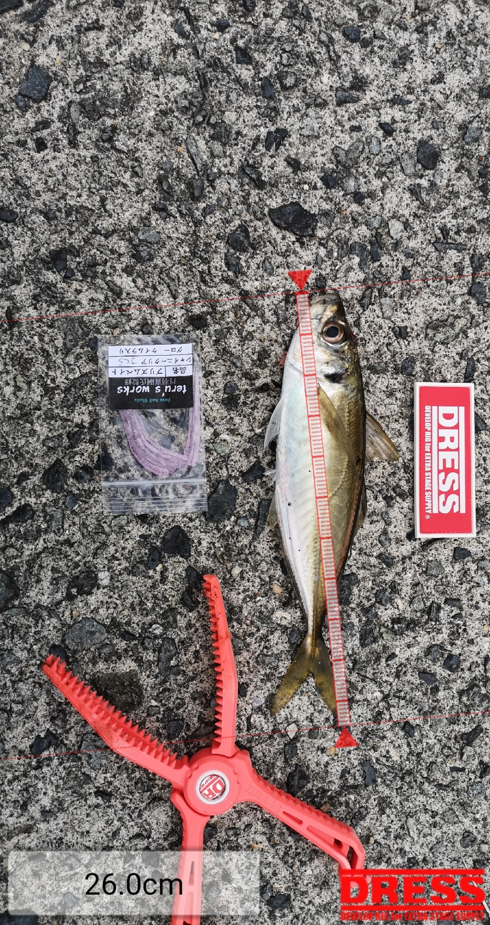 9258_0_7f39db21ab12b3ec997a068709b41f57