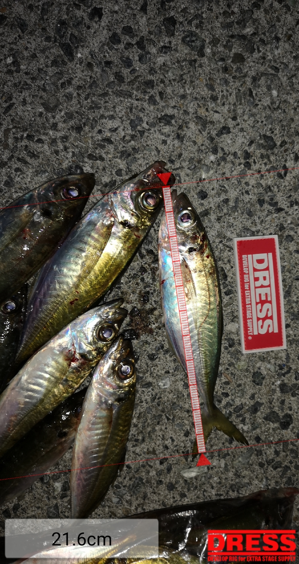 9258_0_83f9d209f70af963053a990574684577