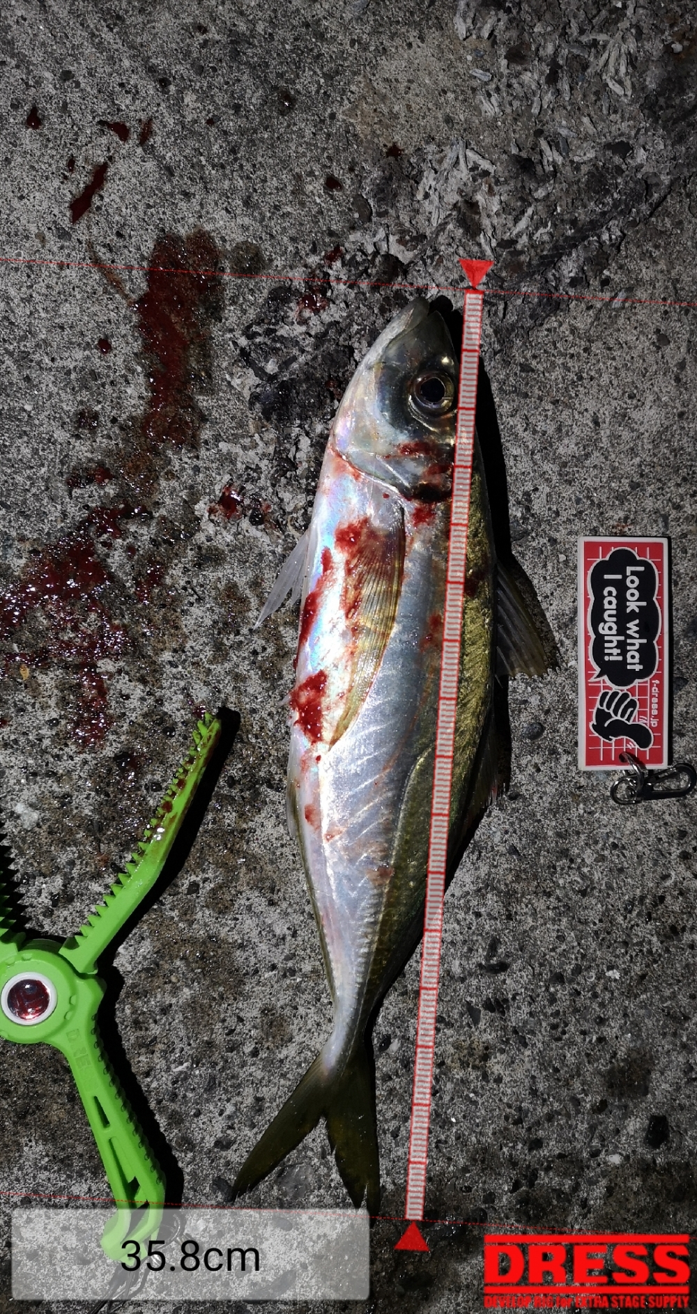 9258_0_896d46f522707c8b951f0efccef65be7