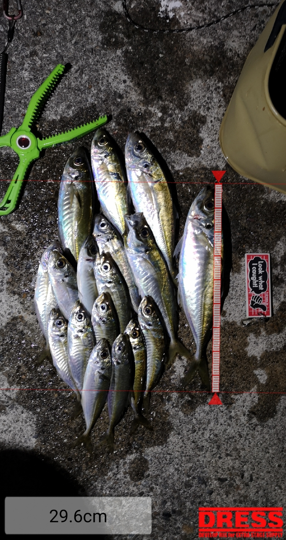 9258_0_8a32061e63fe1353e052b8fe0e5c3175