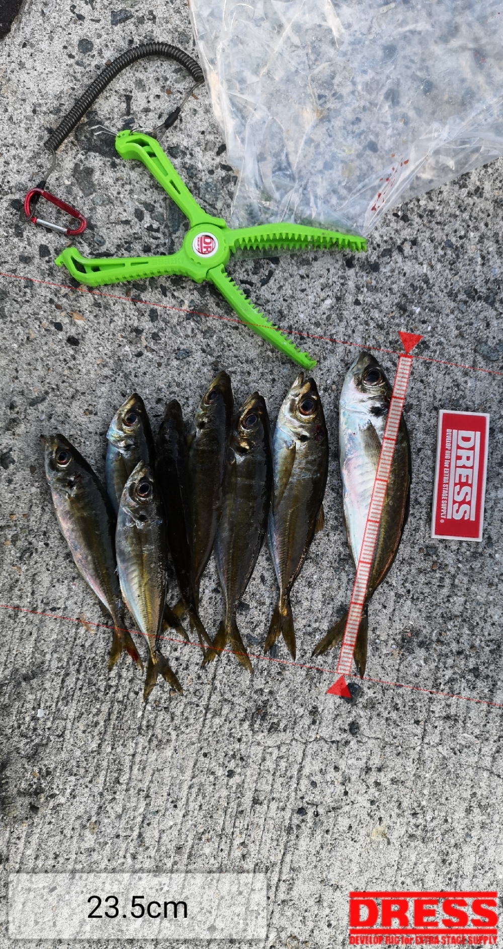 9258_0_8c6805a581d79a32ac3203fd6336b4e1