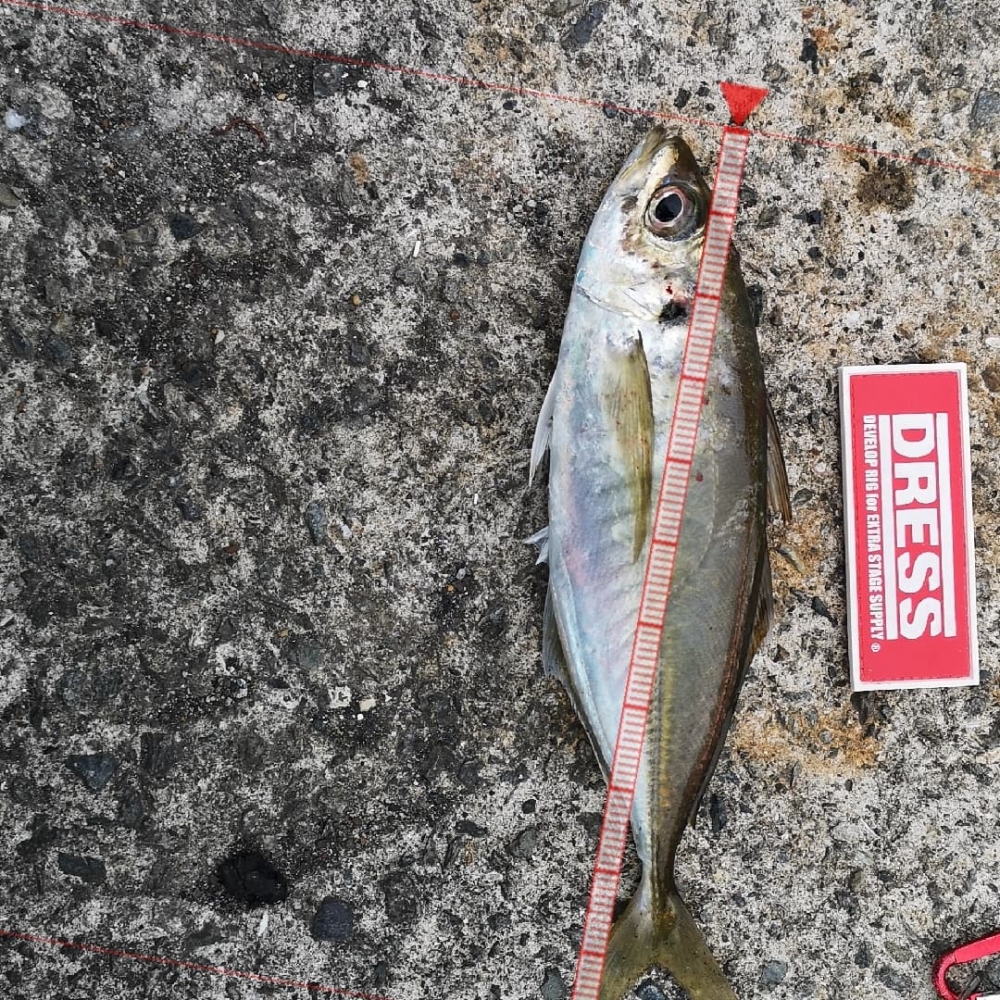 9258_0_8ccfac6fad1a1dfb2a1fd1731721c926