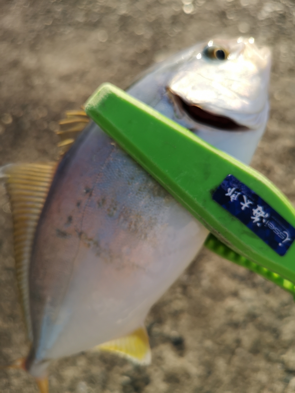 9258_0_982a5f1410919e81c10ab4477350bbeb