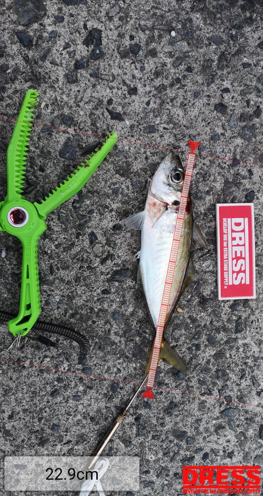 9258_0_9b13f4f1ca462d60d6cfd507b2aac27b