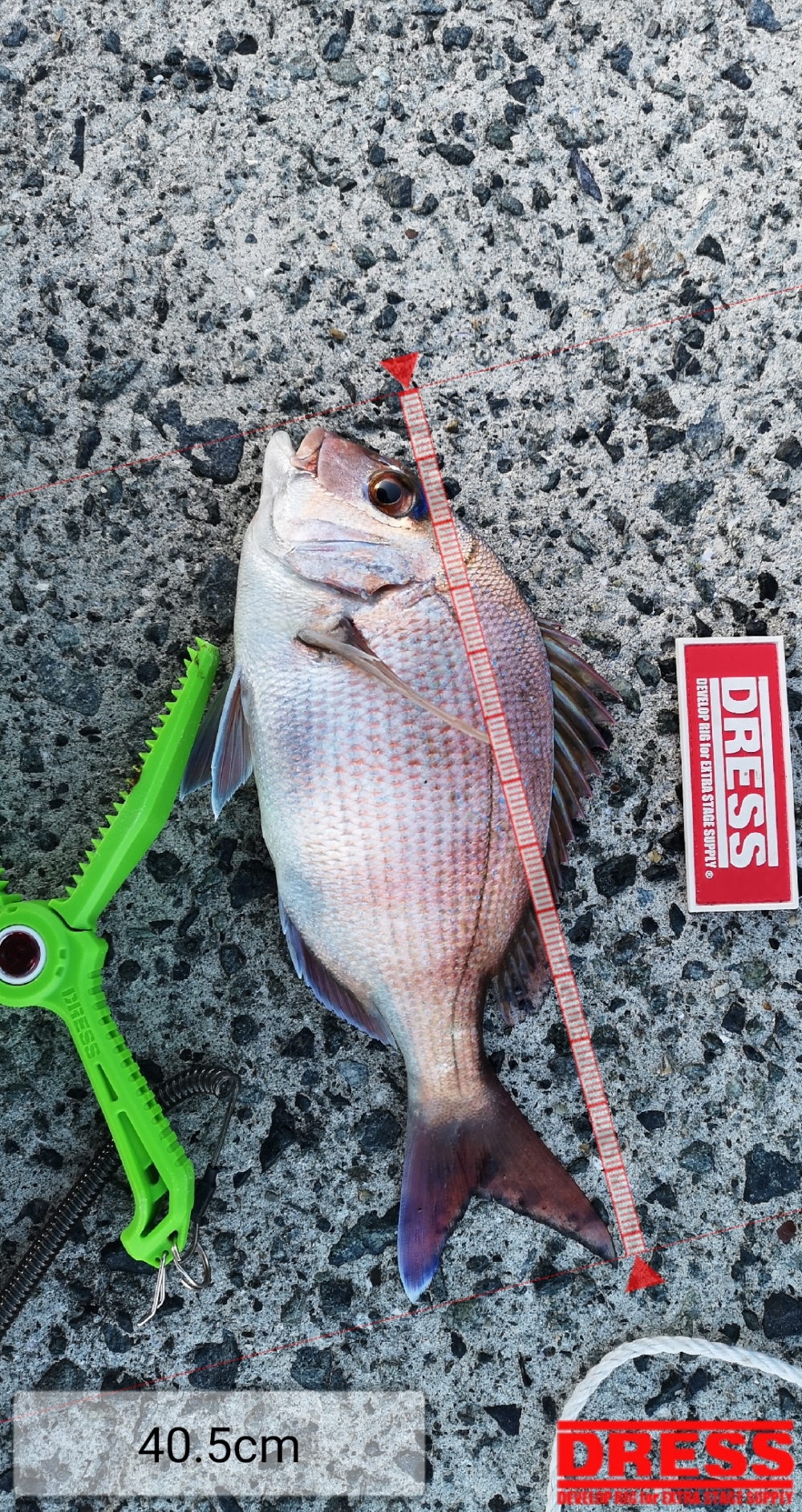 9258_0_a3027292317238075d1f6538766c45b1