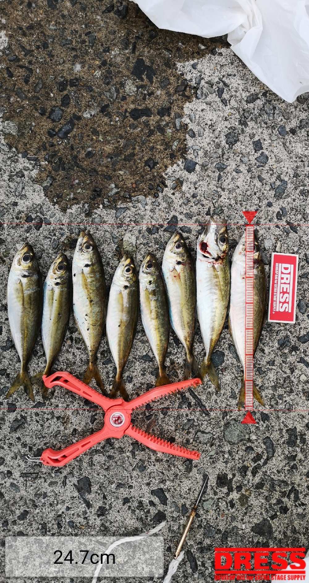 9258_0_a3ddeacdb310b748d0379ef875e89095