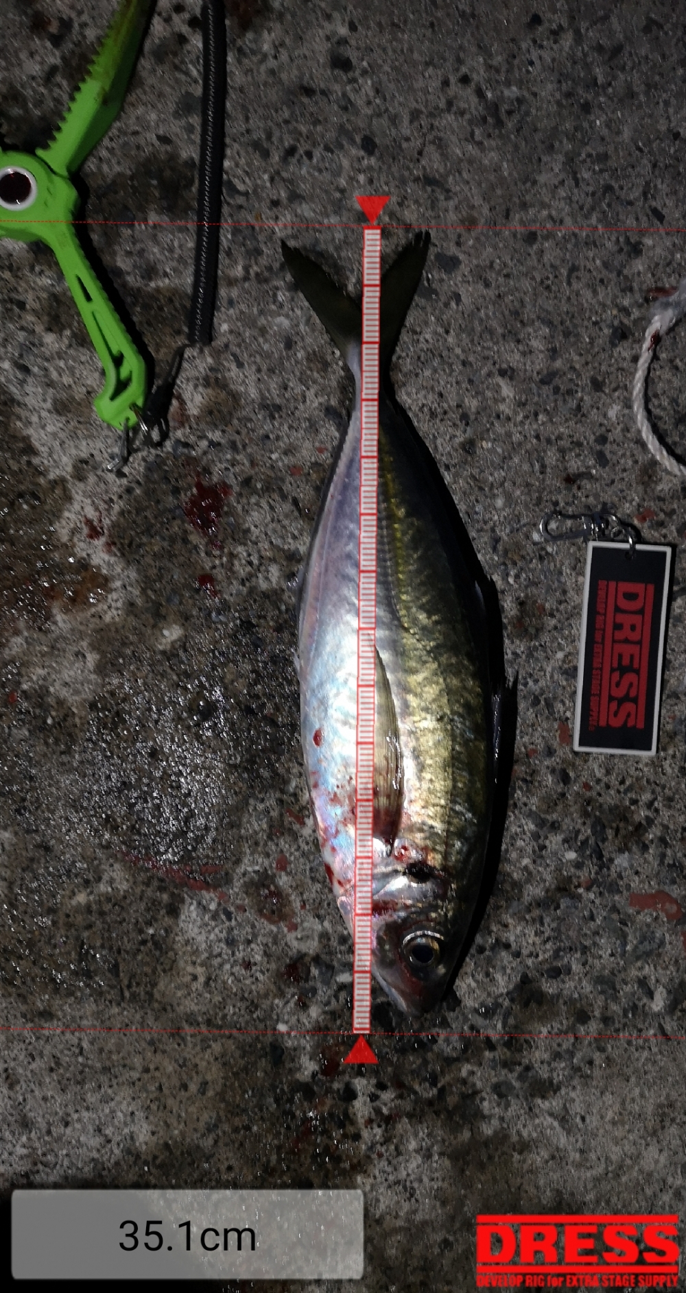 9258_0_b3c683946abe3b4605a8ed8cd799ac82