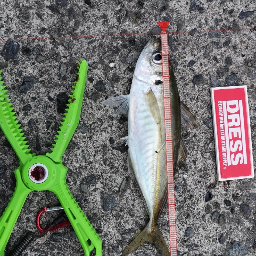 9258_0_b4452136c9388fbc702b7a575f5a8968