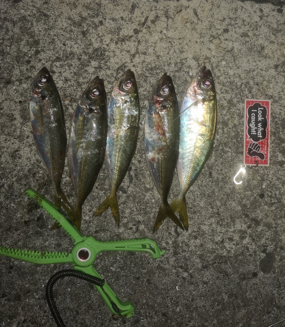 9258_0_be31875d6d00a8995e3612f0fd2743bb