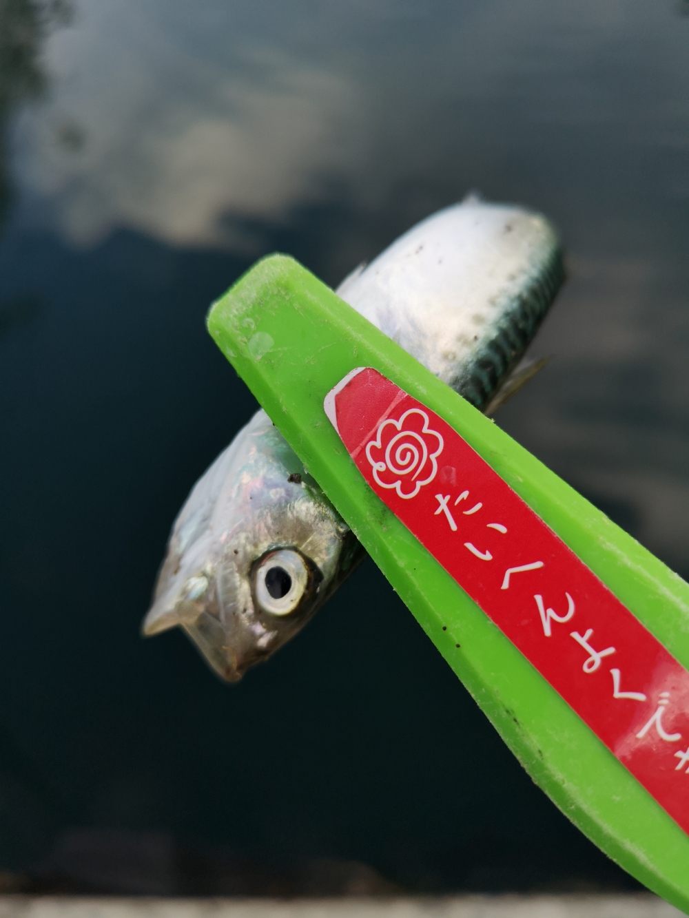 9258_0_c4ed61f925b1e3114465dddb241e7582