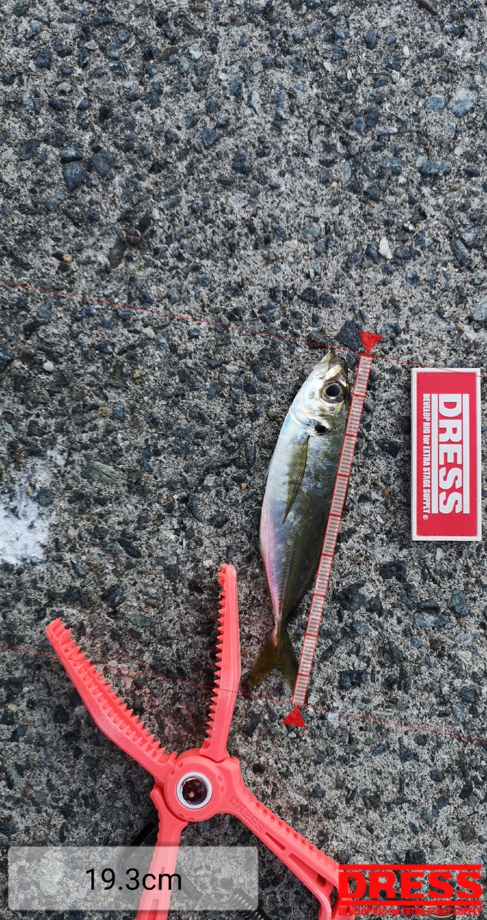 9258_0_c73b7b6edc3161ce439b42c919fac1c0