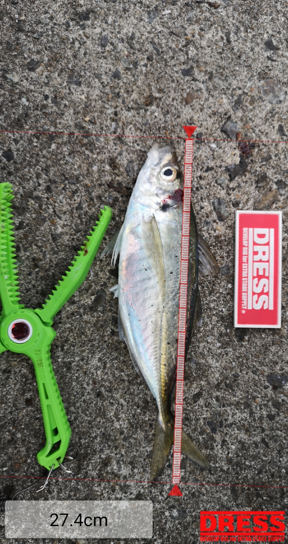 9258_0_d4509fe7083240249fad333c6563bc56