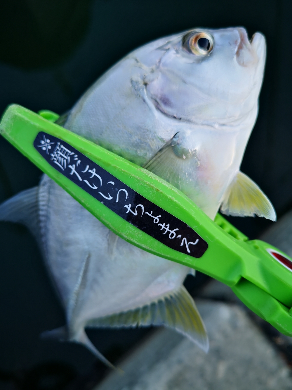 9258_0_d4617cc2dfd1c00839dd29f16dac39d1