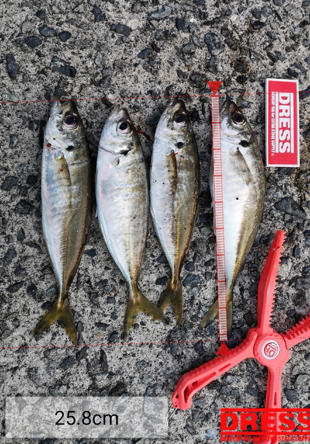 9258_0_d4cf4612d5494eaa41ec8fe8cbbbbf85