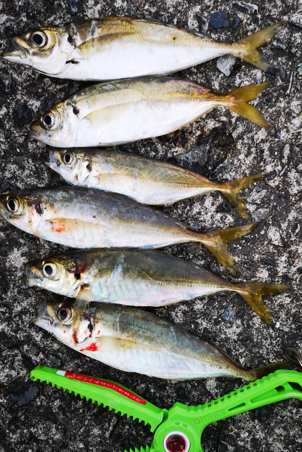 9258_0_d9b622aa916d70cb624a6e1fa70b096b