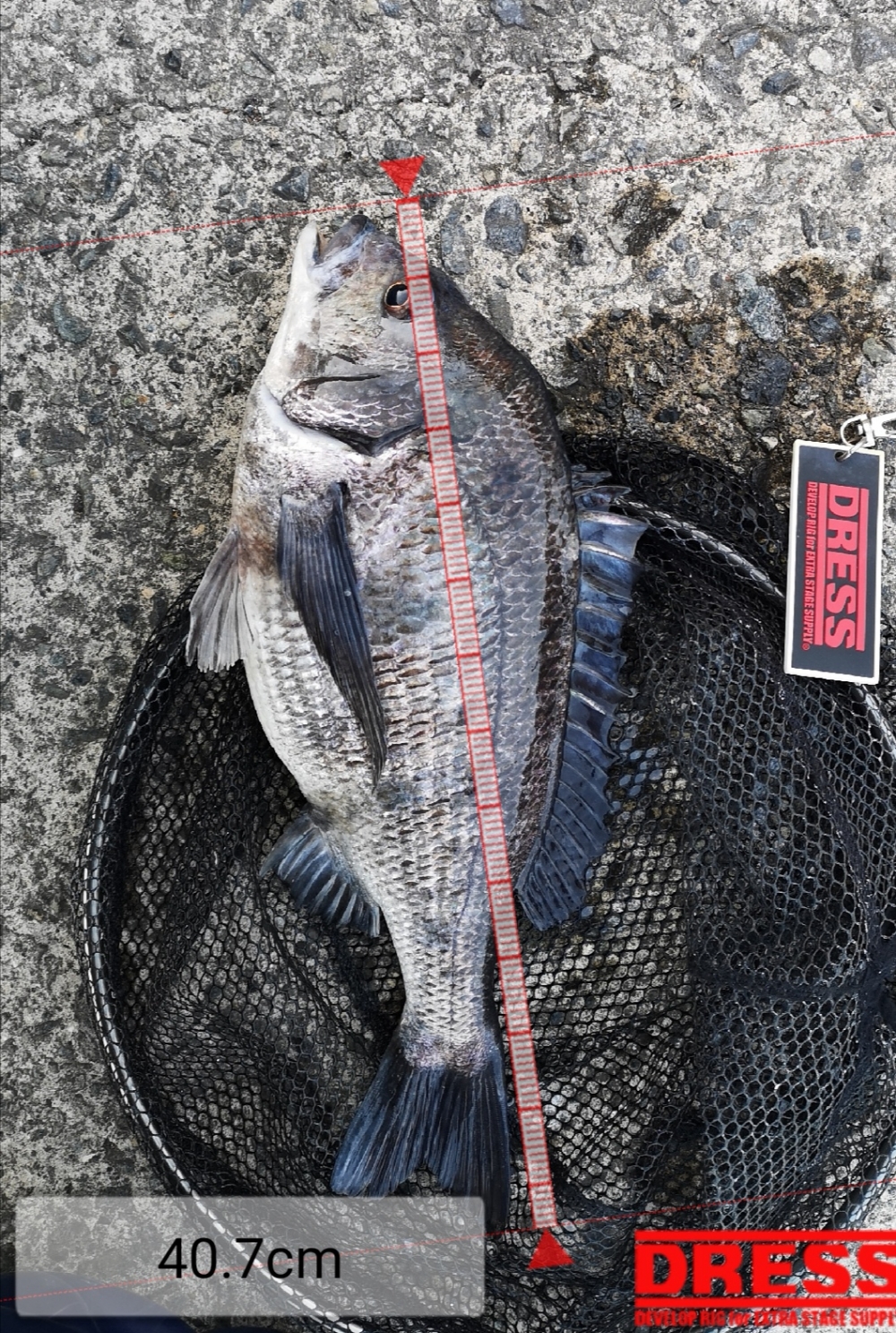 9258_0_daef8ed0284865aee220286bcd6f9170