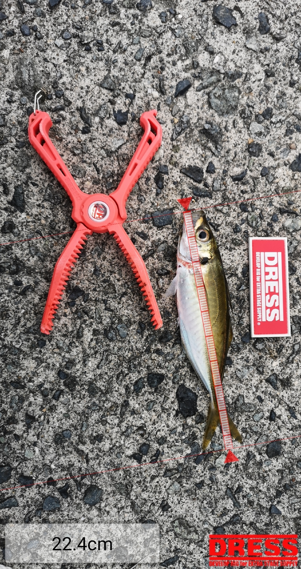 9258_0_dda0f14f0dacca470088a2cc71f5842e