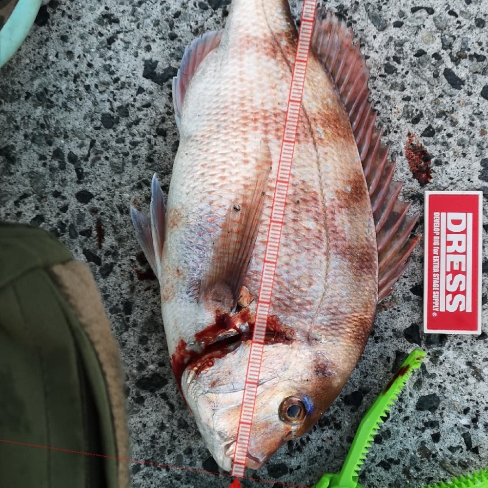 9258_0_dfe6f7310edf88bec28ed89bd6f4e98c