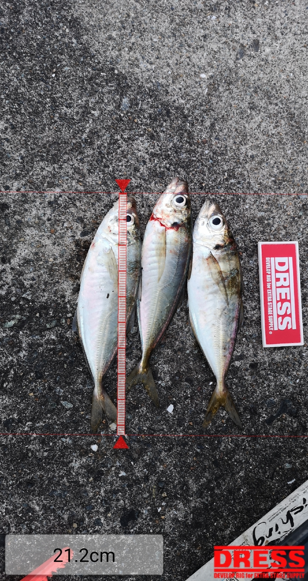 9258_0_e1ba6f00b32db1374d68fa8c73542bcc