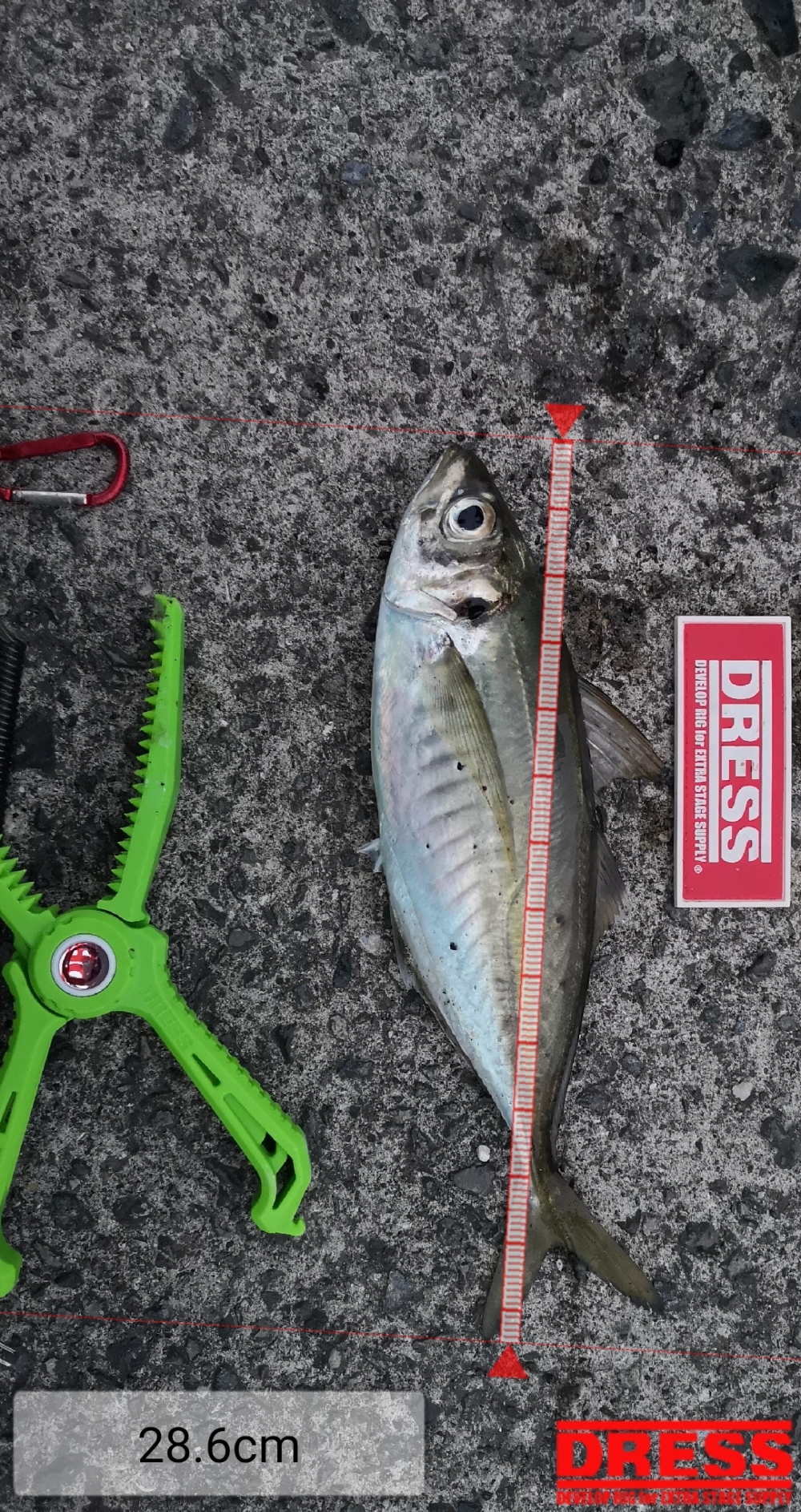 9258_0_e2341b2468126cefcaff44fea8c4c547