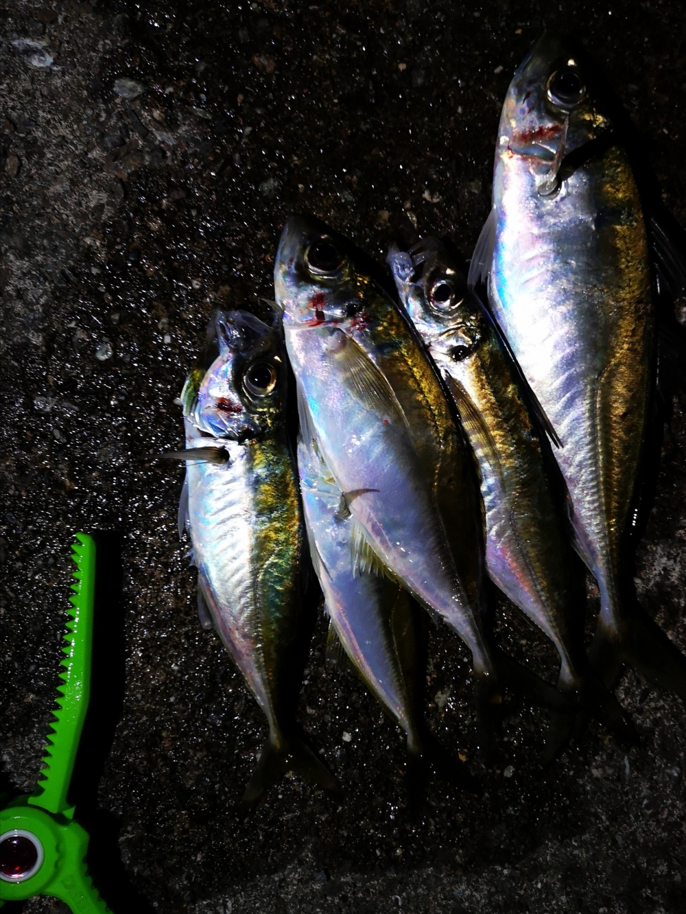 9258_0_f2066b4be20bb3cfa17767c6b9b016af