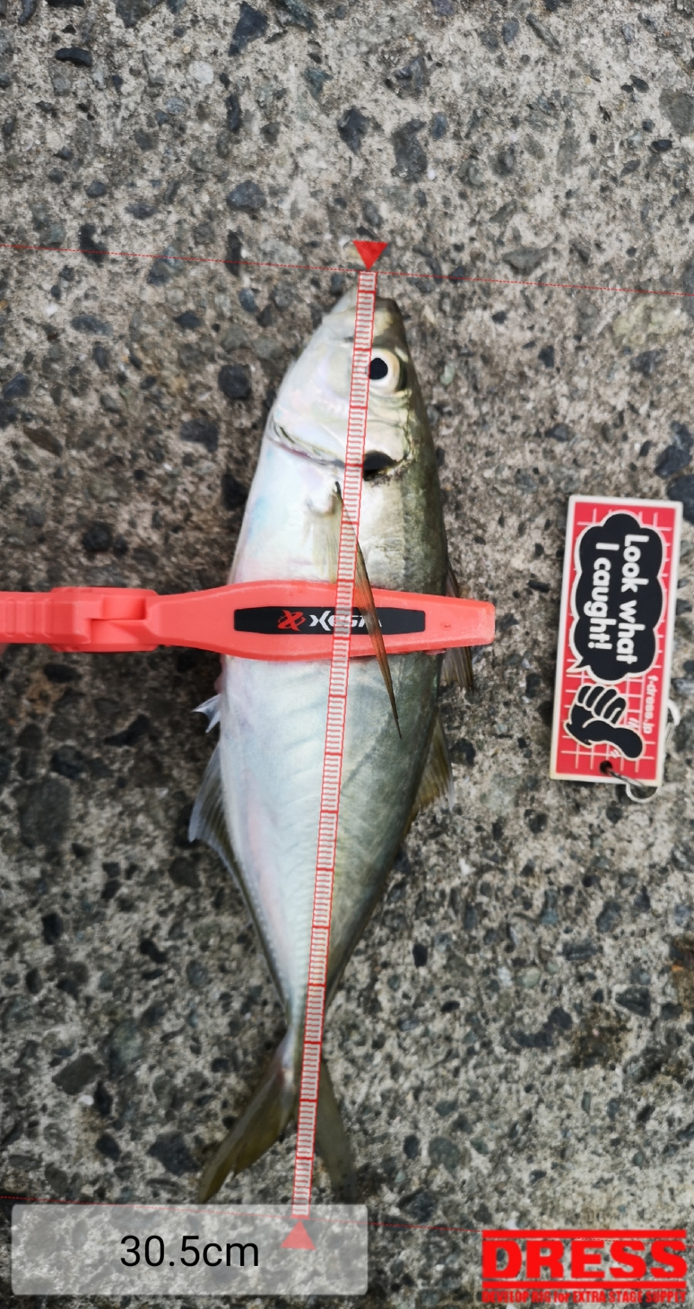 9258_0_facd2626769c1a3035e576794067bdf7