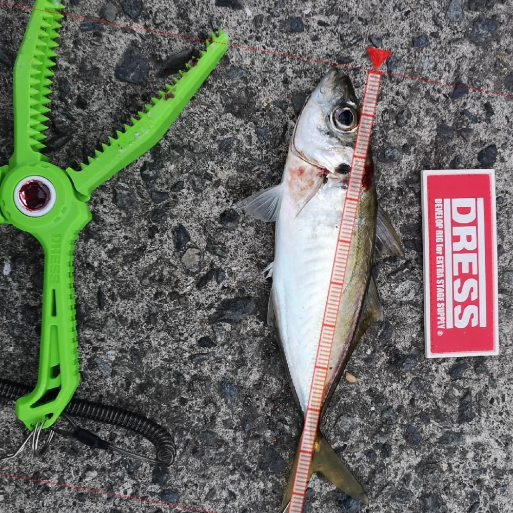 9258_0_fc282be1657ee254e15fd115d8c29603