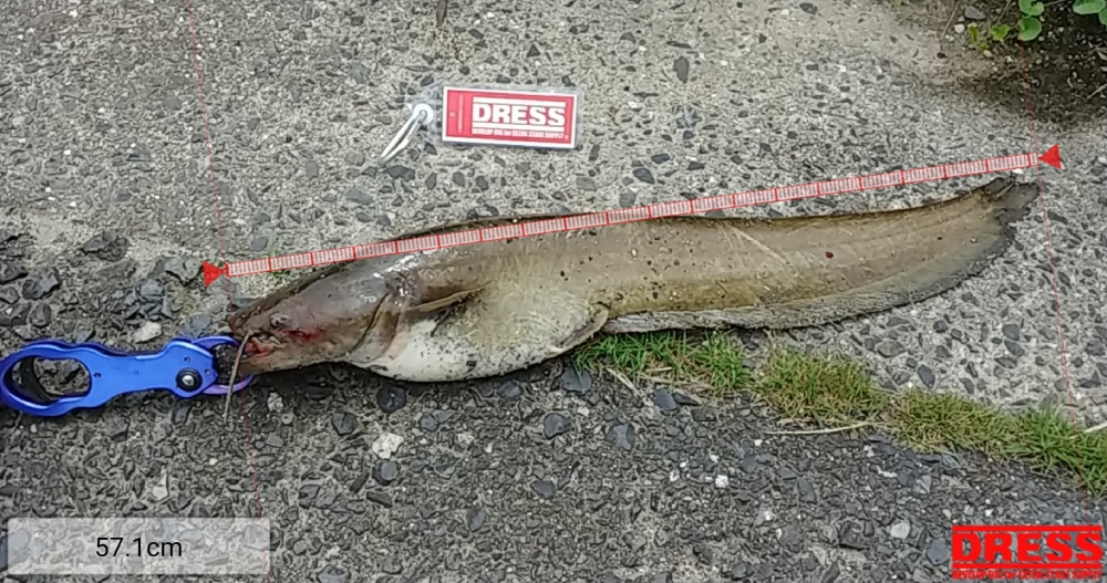 9324_0_f435464b7a09542d20547c6e0f7fa35d