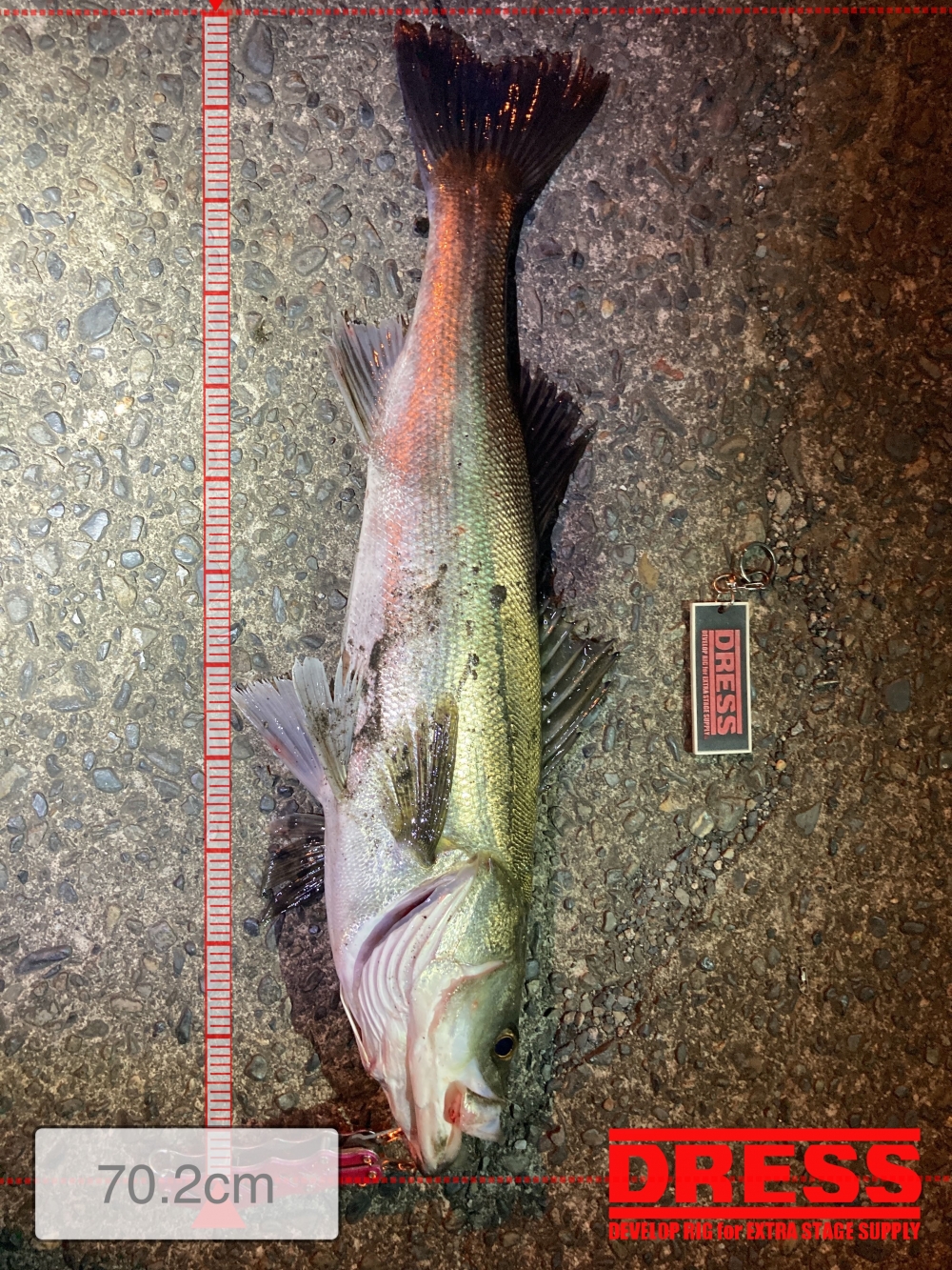 9334_0_01c5d5c117c107a52751a24cda8e83ae